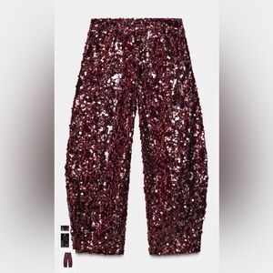 Zara Sequin Barrel Pants – Size Small